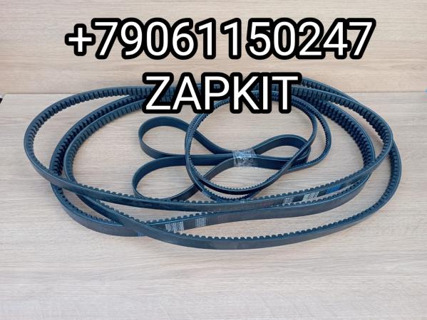 Комплект ремней ремни комплект Зонг Тонг Жонг Тонг ZHONGTONG 6127 2017 г в 8PK1824 8PK1816 1 шт 2AV15*1080 2AV15x1080 15x1080 15*1080 1 шт., 2AV15*2010 2/AV15*2010 2AV15x2010 1шт., 15*1870 V15*1870 15X1870 9304-00146 1шт., 13*975 AVX13X975 13975 2 шт Комплект ремней ремни комплект Зонг Тонг Жонг Тонг ZHONGTONG 6127 2017 г в 8PK1824 8PK1816 1 шт 2AV15*1080 2AV15x1080 15x1080 15*1080 1 шт., 2AV15*2010 2/AV15*2010 2AV15x2010 1шт., 15*1870 V15*1870 15X1870 9304-00146 1шт., 13*975 AVX13X975 13975 2 шт