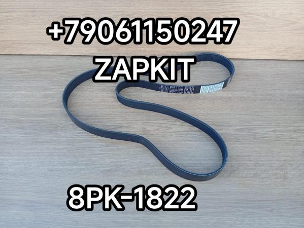 Ремень генератора 8PK1822 8PK1824 4942247 Хайгер Хагер Higer Ютонг Yutong Ремень генератора 8PK1822 8PK1824 4942247 Хайгер Хагер Higer Ютонг Yutong